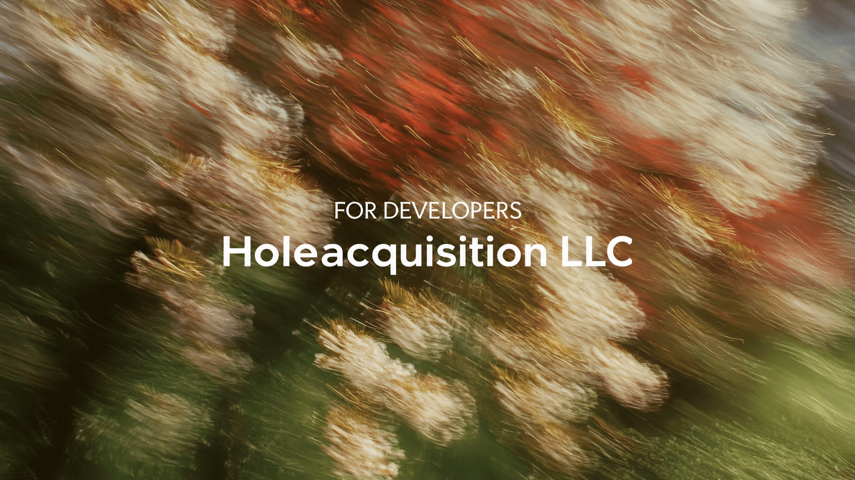 Holeacquisition LLC for Developers